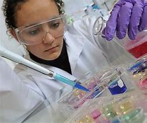 research fellow